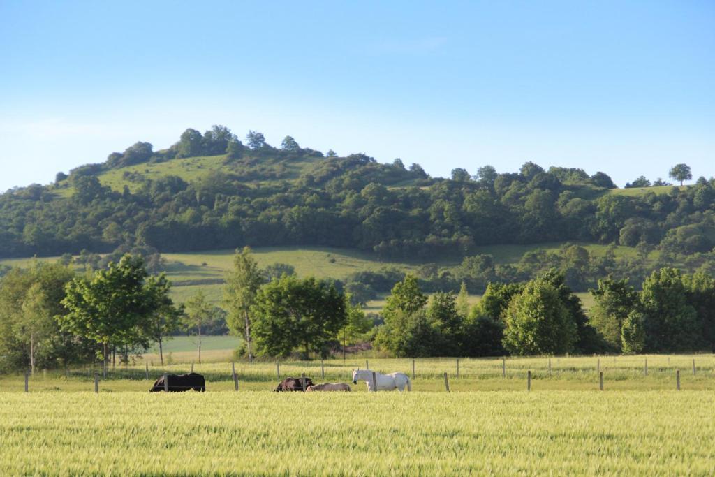 Rotes Ross Marktbergel Exteriér fotografie